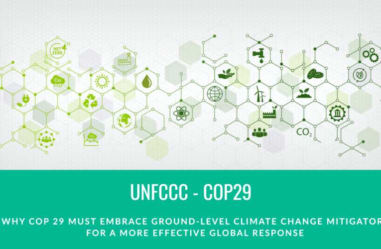 Why COP29 Must Embrace Ground-Level Climate Change Mitigators for a More Effective Global Response