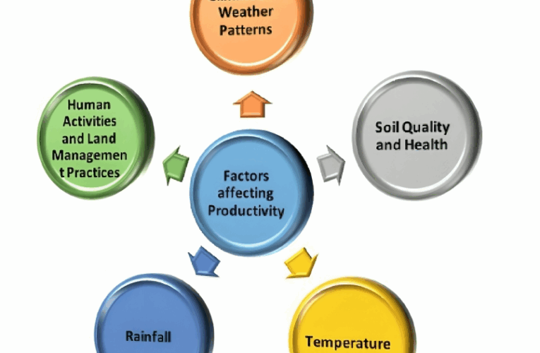 Influence of Environmental Factors on Fertile Soil Yield