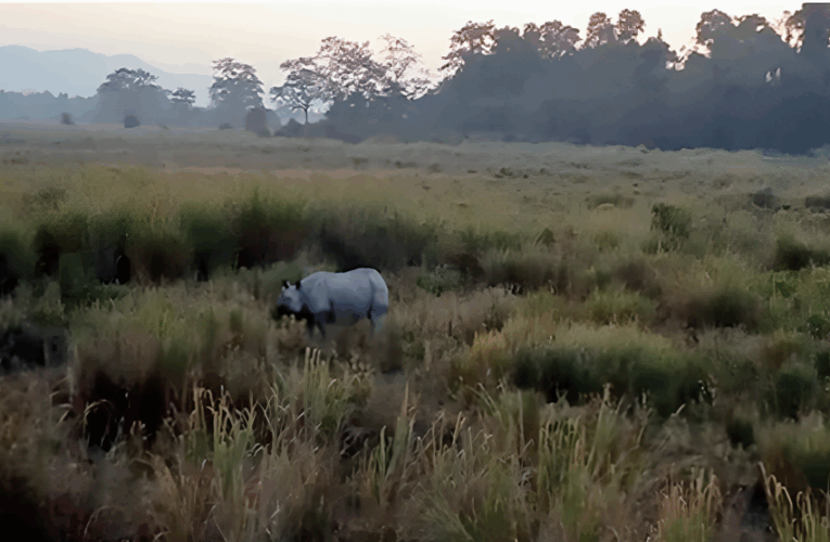 Kazi Trip Travelogue
