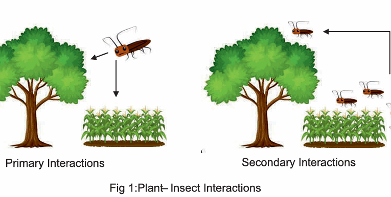 Introduction to Agroforestry: A sustainable approach to pest management