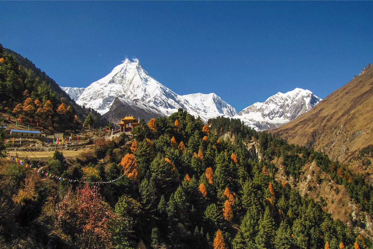 Nepal’s Community Forestry Initiatives